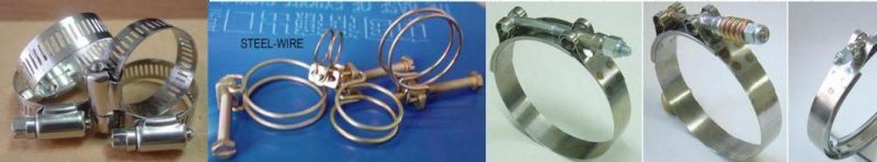 Briish Type Stainless Steel Hose Clamp
