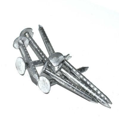 Hot Sale Clout Head Roofing Felt Nails China Supplier Big Flat Head Clout Nail