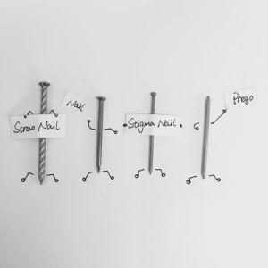 Good Quality Steel Nails/ Stigma Nails/Screw Nail/Prego/Shoes Nail
