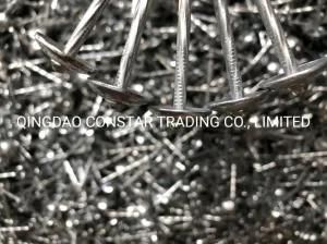 Smooth Twisted Roofing Wire Nails for Building Materials
