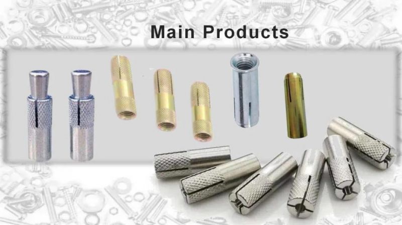 Stainless Steel 316 Drop in Anchor Made in China