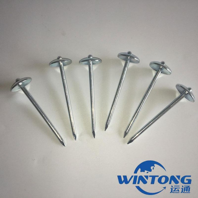 Supply Mushroom - Shaped Twist Umbrella - Shaped Corrugated Nails