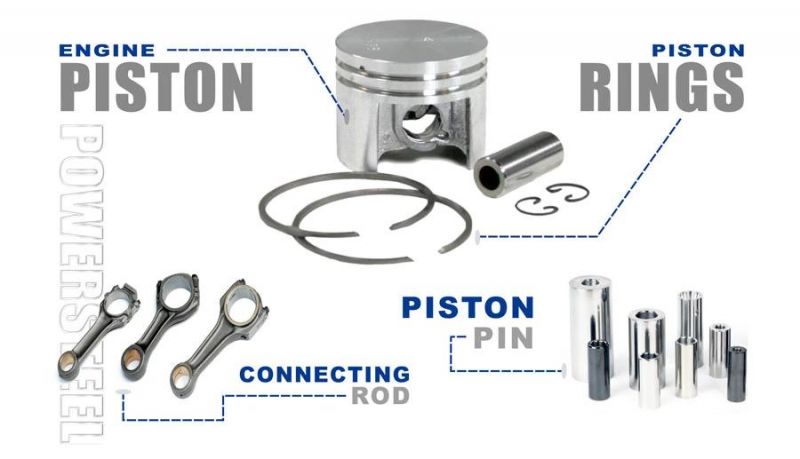 Engine Gasket