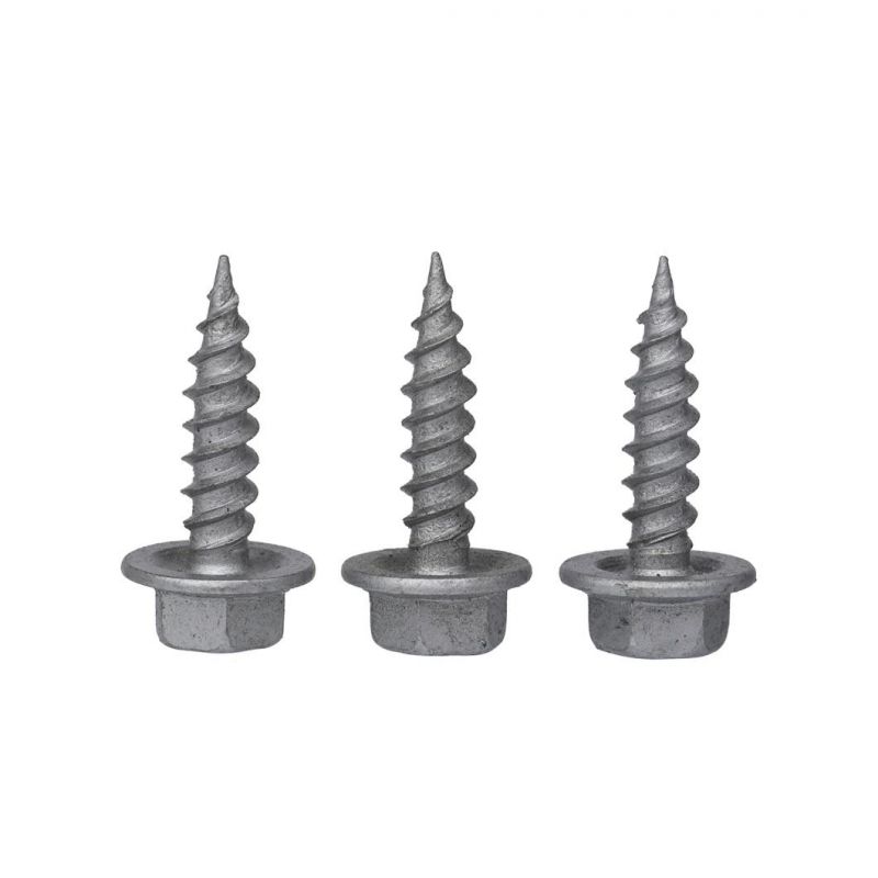 Screw /Self Tapping Screw/Fastener/Hex Bolts