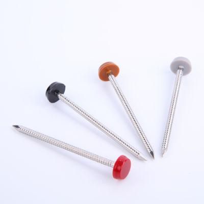Hot Sale ANSI DIN China 2.0X30mm 2.0X40mm Plastic Top Nail Nails