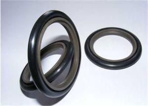 Polytetrafluoroethylene Sitefeng Seal for Sealing Oil with Best Quality