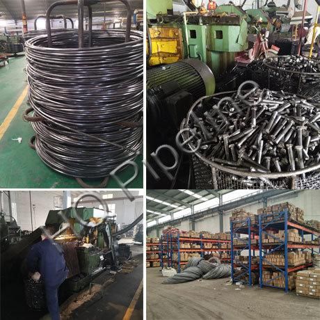 Grade4.8/8.8/10.9/12.9 DIN931/DIN933 Stainless/Carbon Steel Black/Zinc Full/Half Thread Hex Head Nut and Bolt