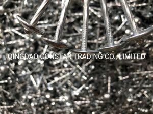Hot-Dipped Galvanized Twist Roofing Nail with Big Umbrella Head