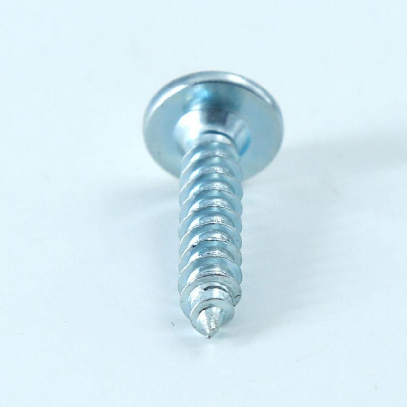 China Factory Stainless Steel Flat Head Hex Socket Self Tapping Screws