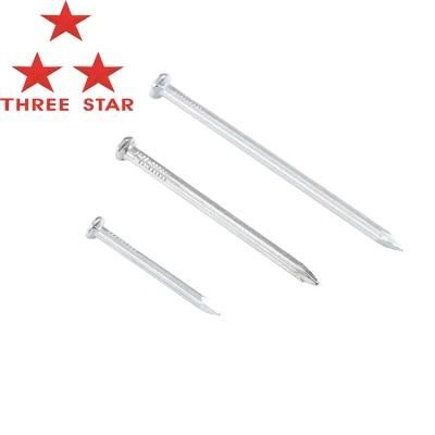 Most Popular Concrete Steel Nail 25mm Nails Electro Galvanized Concrete Steel Nail