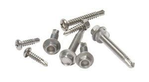Hardware Fastener Self Drilling Screw Metal Manufacturer in Dongguan