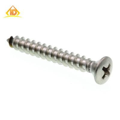 SS304 316 Phillips Drive Raised Countersunk Head Tapping Screw