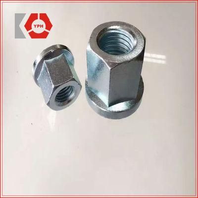 Long Special Nuts of Zinc Plain