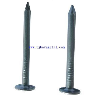 Nail Factory High Quality 1-1/4&quot; Galvanized Roofing Nails/Clout Nail