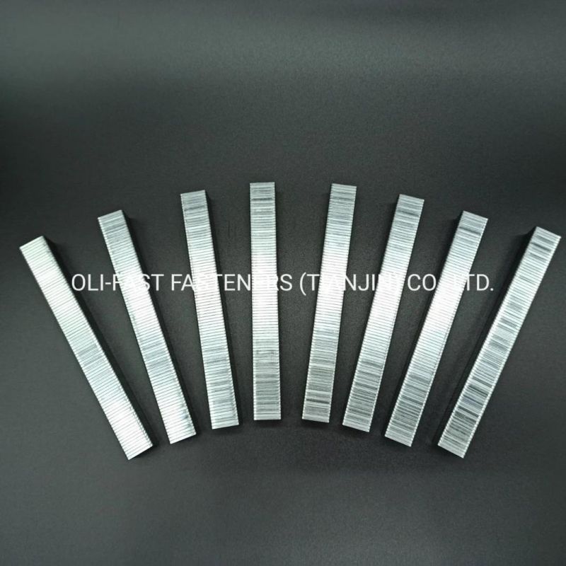 Factory Supply 20ga 50 Staples 5008 for Upholstery/Furniture