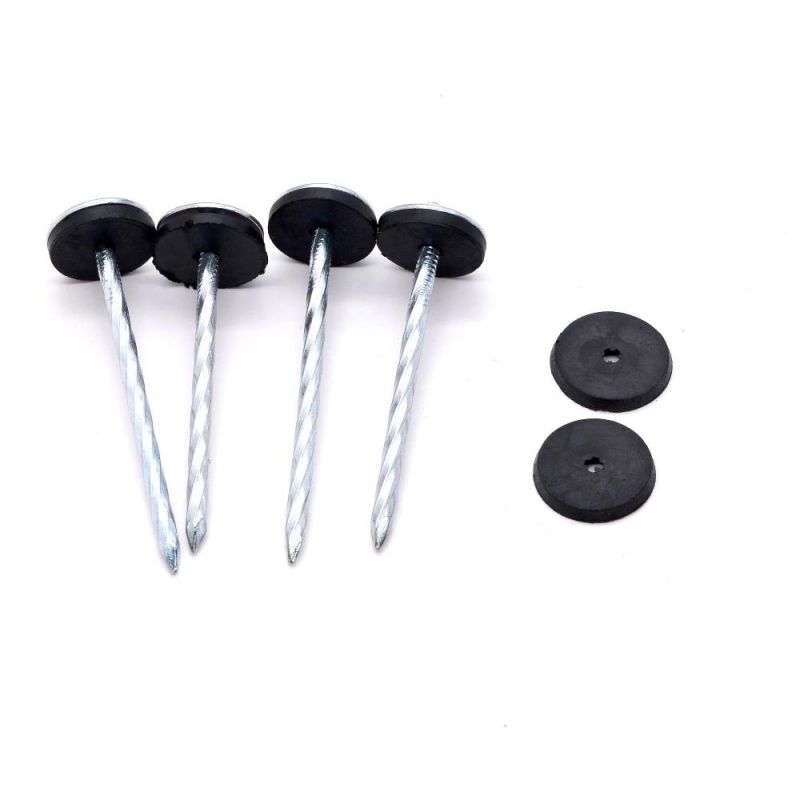 South Africa Nigeria Angola Zambia Namibia Market/Galvanized Roofing Nails with Umbrella Head