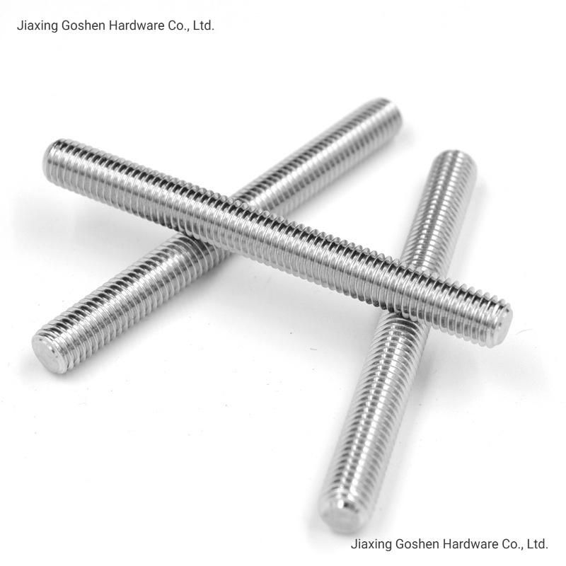 M20*100mm Stainless Steel 304 Threaded Rod