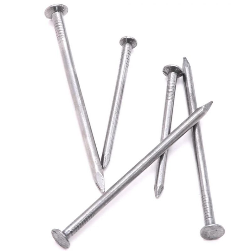 Nigeria Angola Zambia Market/Good Quality Point Common Round Hot DIP Galvanized Nail Iron Wire Nails