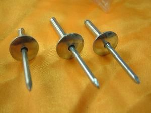 Rivet