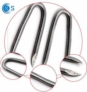Promotional Galvanized Steel U Type Nails