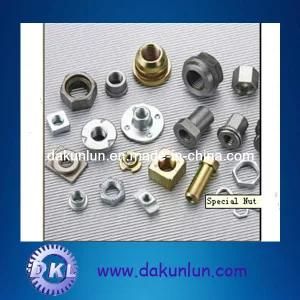 Customize Size Stainless Steel 8.8 Nut
