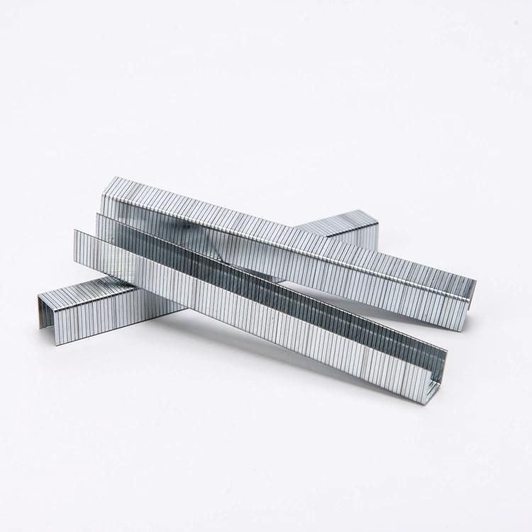 Galvanized Staples 10 Series 10f Fine Wire Staples for Furniture