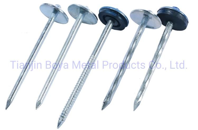 Good Quality Galvanized Umbrealla Head Roofing Nails Low Price