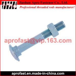 ISO 8677 DIN 603 Carriage Bolt with Nut