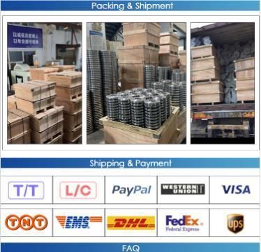 Stainless Steel Flange F304 F304L F316 Socket Weld Flange Slip on Weld Neck Plate Blind Flange
