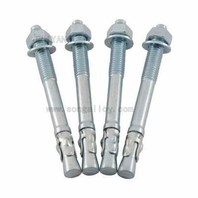 Stainless Steel Wedge Anchor Bolt with Nuts