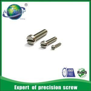 Precison Micro Screw Watch Screws