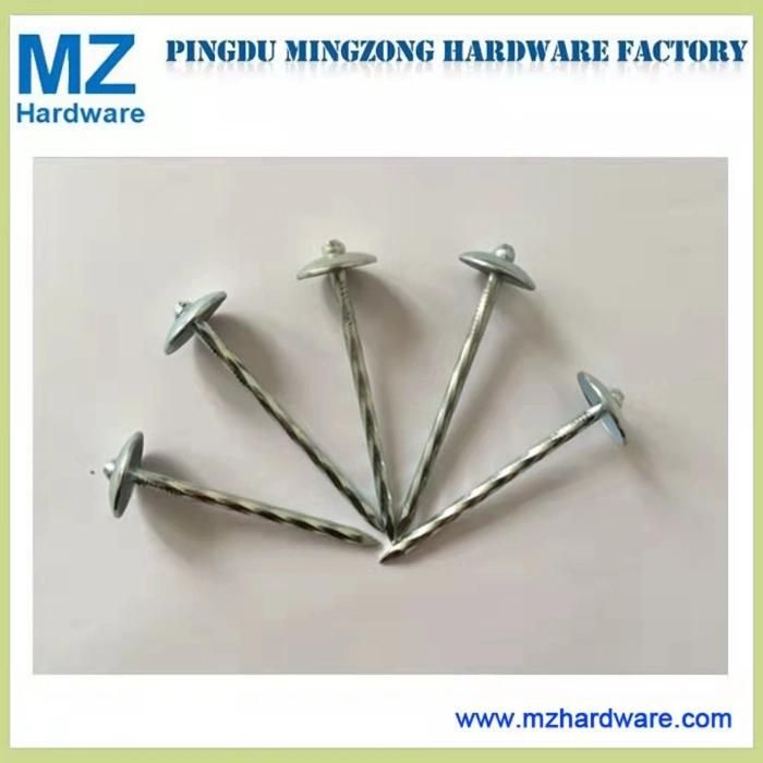 Bwg8-13 Umbrella Head Twist Shank Roofing Nail with High Quality