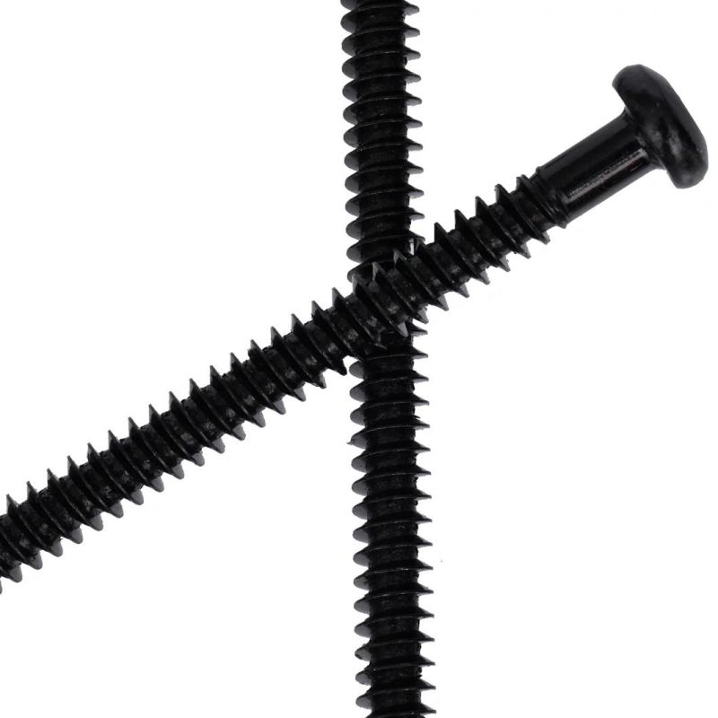 Bi-Metal Screw Factory China