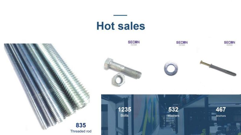 China Factory Hanger Bolt Double Thread Metric Thread Screw Wood Screw Machine Thread Wood Thread Tapping Screw Torx T30/Machine Screw/Roofing Bolt High Quality
