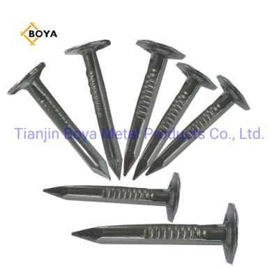 China Nails Factory Top Quality Clout Head Zinc Coated Cupper Nails