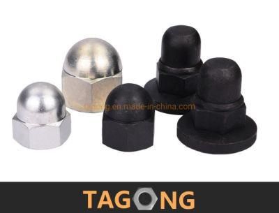 SAE J 483 DIN917 DIN96 DIN1587 Cap Nuts