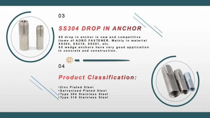 Stainless Steel 316 Drop in Anchor Made in China