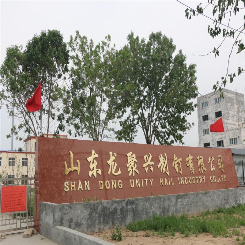 Wholesale Galvanized Factory Selling Roofing Coil Nail