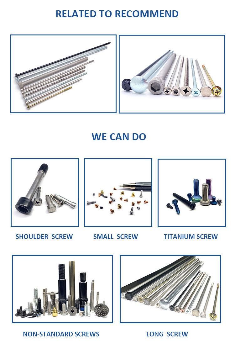 Stainless Steel Special Drive Slotted Torx Cap Head Tamper Proof Security Anti-Theft Self Tapping Screw