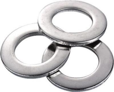 Sandingsheng Customized High Quality Stainless Steel Ultra Thin Flat Washer