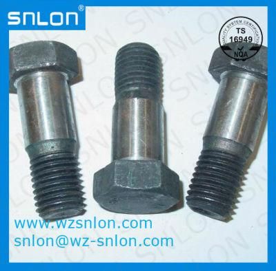Custom Hex Bolt with Shank Polishing