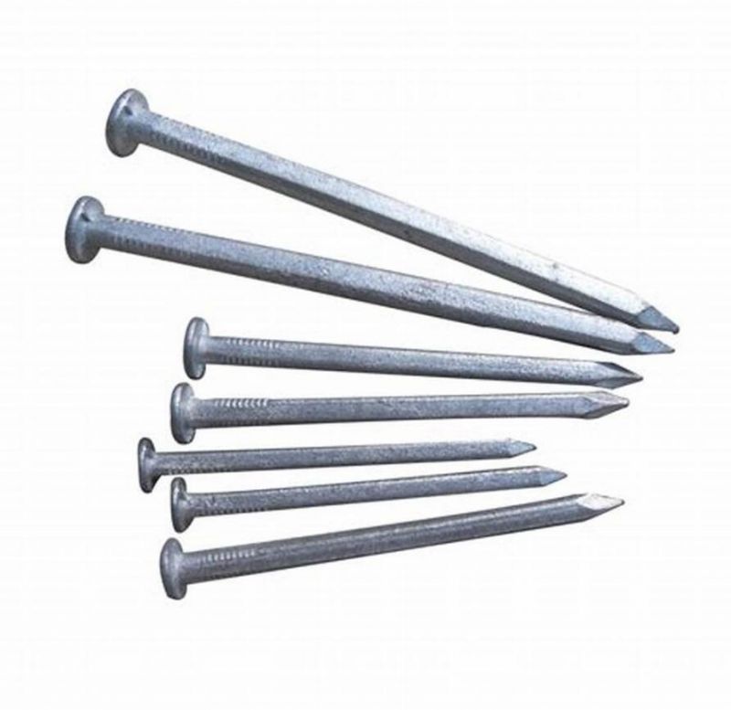 3" 25kg Box Galvanizedcommon Nails/ Square Boat Nails