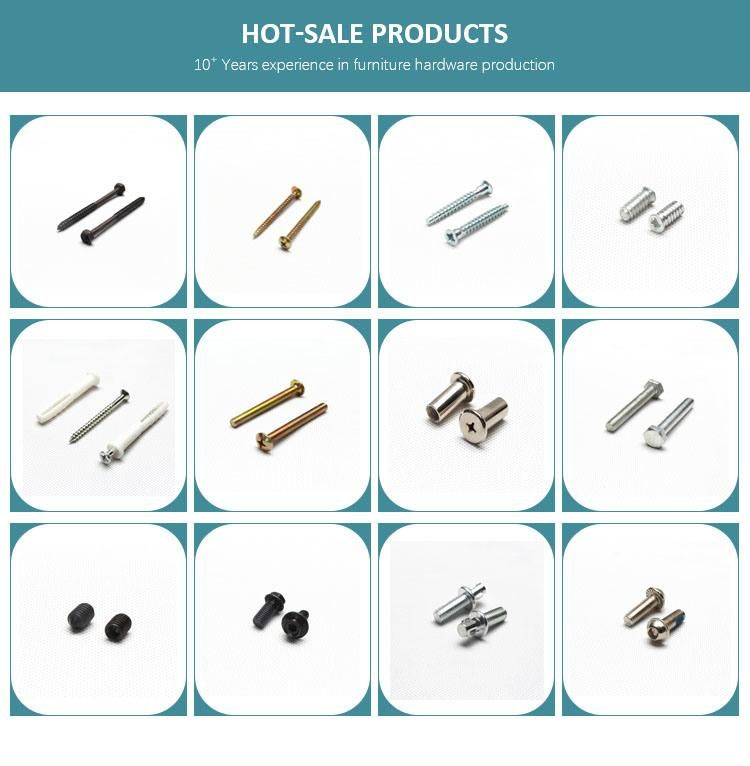 High Quality Metal Steel Fasten Screws Furniture Accessories