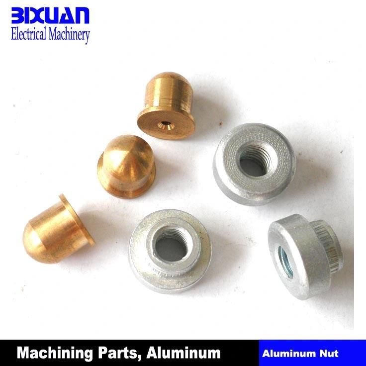 Bolt / Screw (BIXTRS2011-9) , Machining Parts