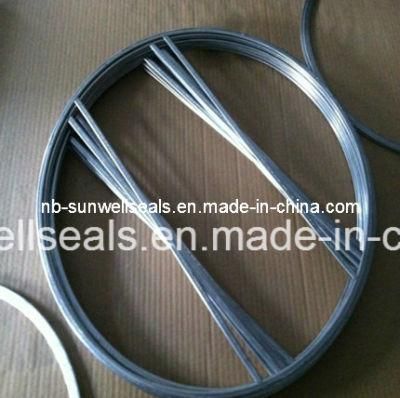 Heat Exchangers Double Jacket Gasket Djg (SUNWELL)