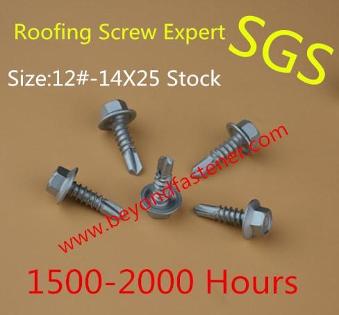 Brass Screw Bolts Fastener