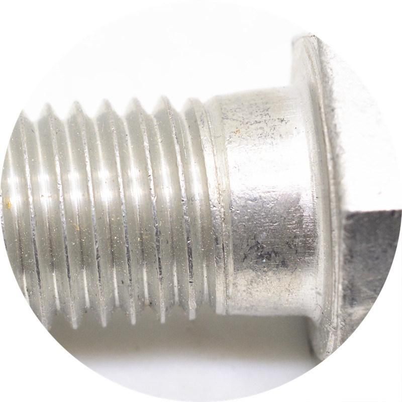 Steel Hexagon Head Cap Bolt with Hole