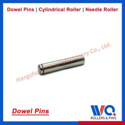Straight Parellel Dowel Pin with Groove