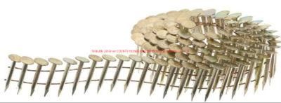 15 Degree 1 1/4&quot;-7200PCS/Box Eg Coil Roofing Nails