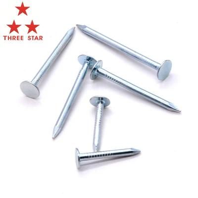 Professional Flat Head Roofing Nails Ceiling Nails Galvanized Cupper Nails